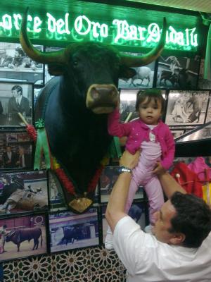 Que Guapo el Toro